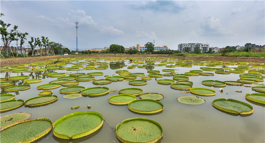 文浦花園