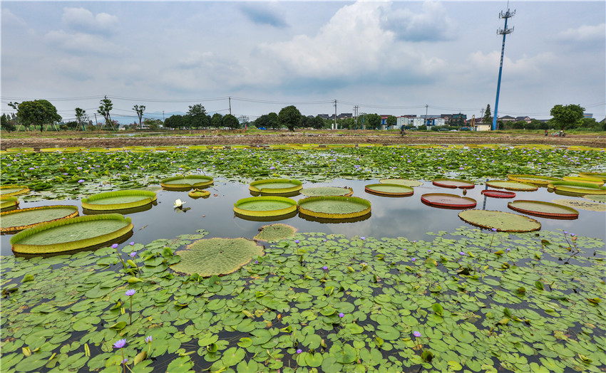 文浦花園