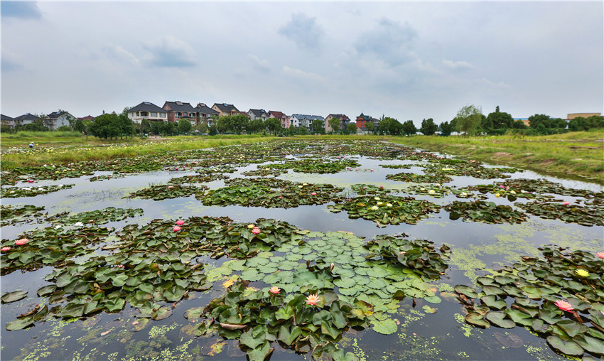 文浦花園