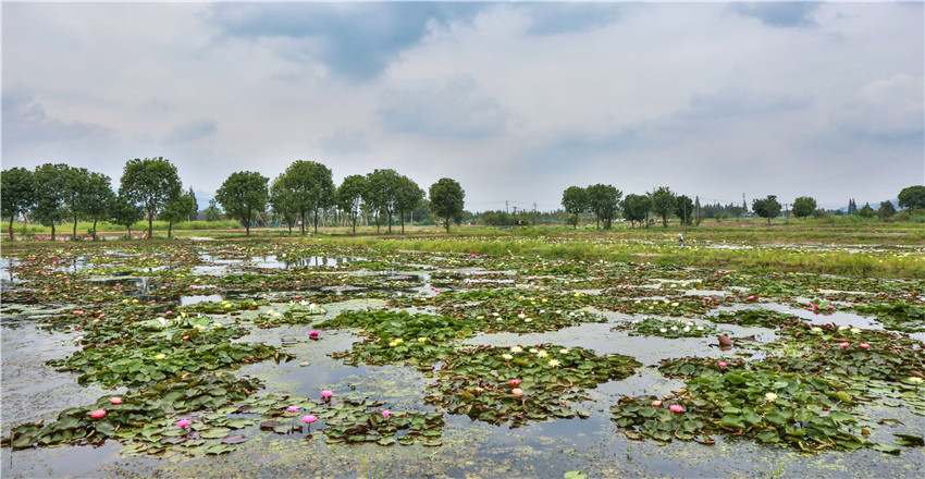 文浦花園