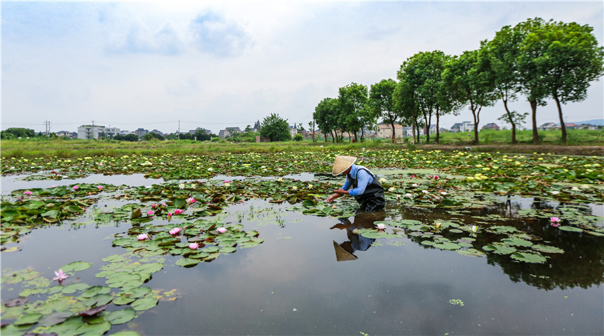 文浦花園