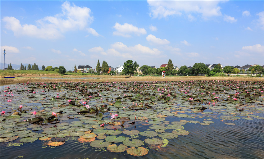 文浦花園