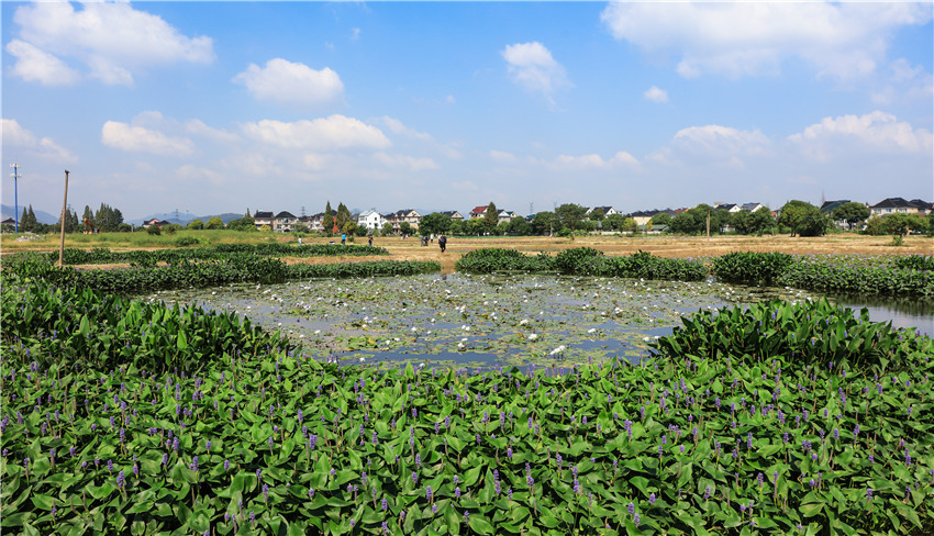 文浦花園