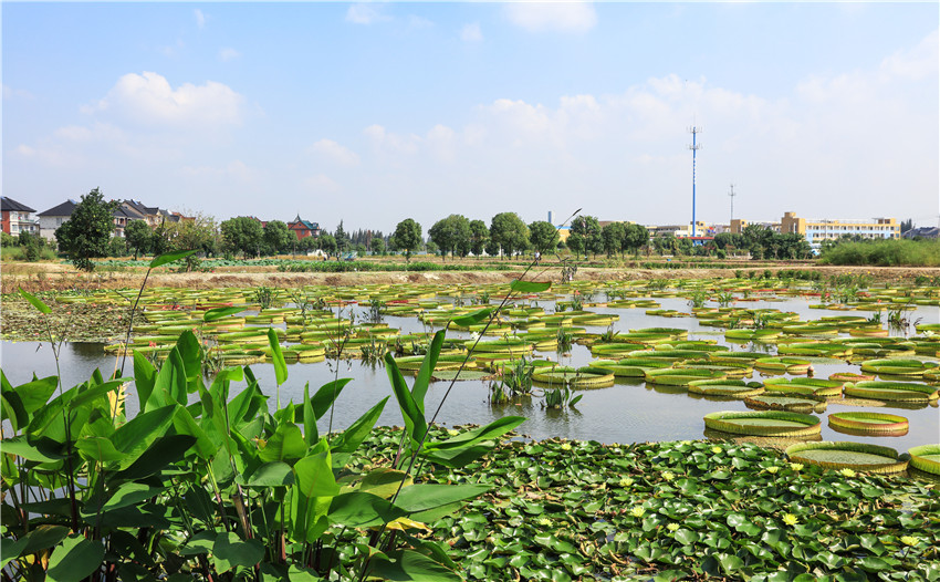 文浦花園