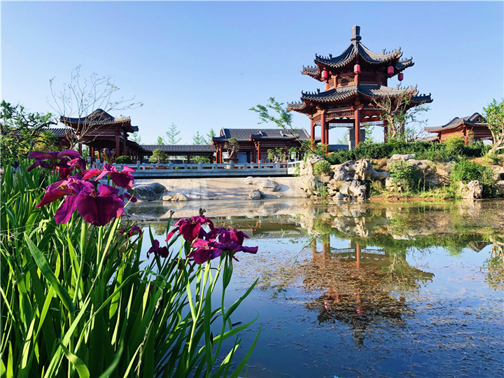 陳翠-韓城國家文史公園澽水觀魚一景.jpg