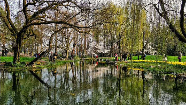 晏佳佳-12春光燦爛——2018-03-22——太子灣公園的春天，色彩靚麗 (2).jpg